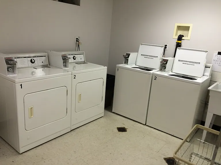 85-04 Forest Pkwy #1D — Photo 10