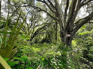 11391 NE 148th Ln, Fort Mc Coy, FL 32134