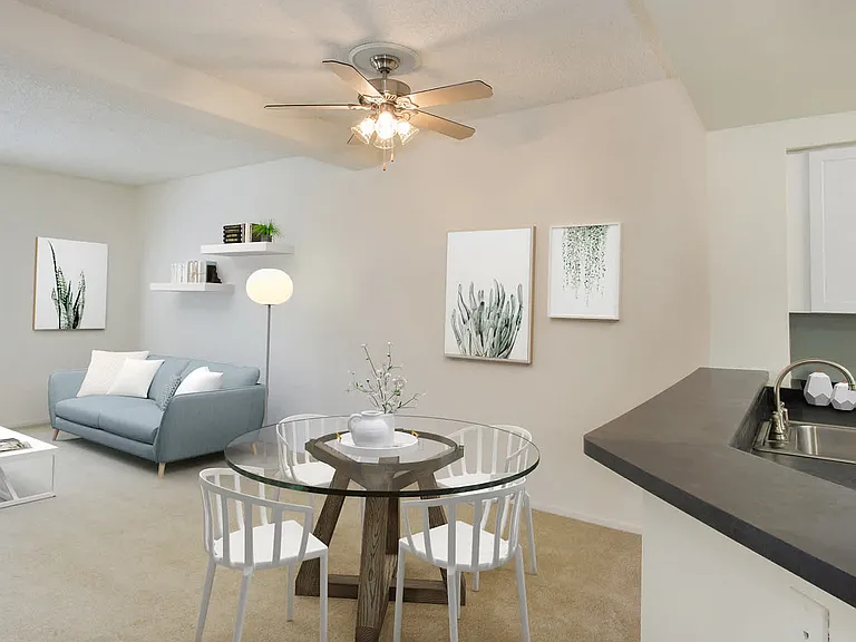 Kitchen and Living Room