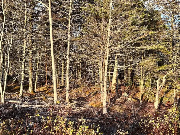 Shore Rd Lot 1, Shelburne, NS B0T