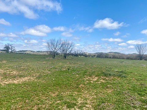 3rd image of 601 Upper Liveoak Rd