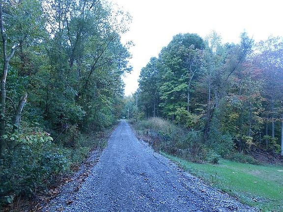 2nd image of 290 Bluff Ln