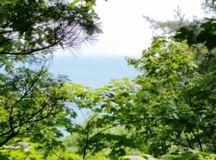 8315 Seven Mile Point Ct, Harbor Springs, MI 49740