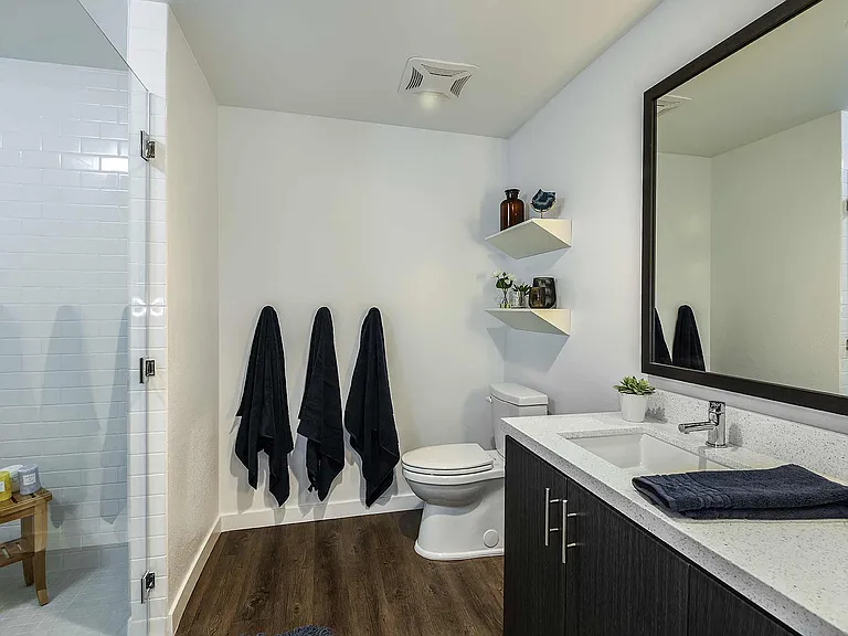 Elegant Bathrooms