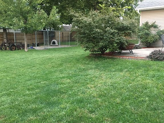 Back yard