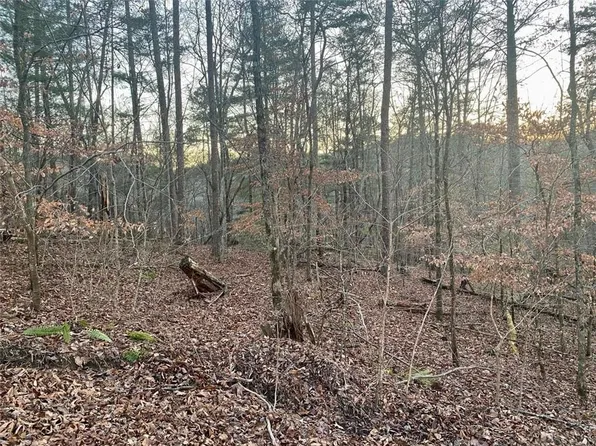 0 Shade Tree Dr #1684, Talking Rock, GA 30175