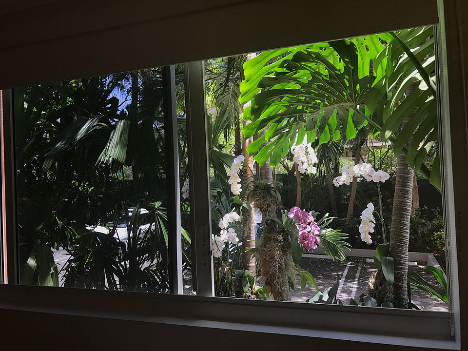 1st image of 2951 S Bayshore Dr #211
