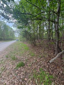 3 New Chestnut Dr, Rougemont, NC, 27572