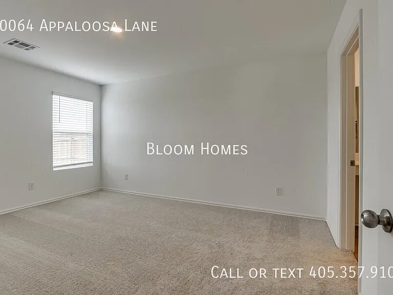 10064 Appaloosa Ln — Photo 9