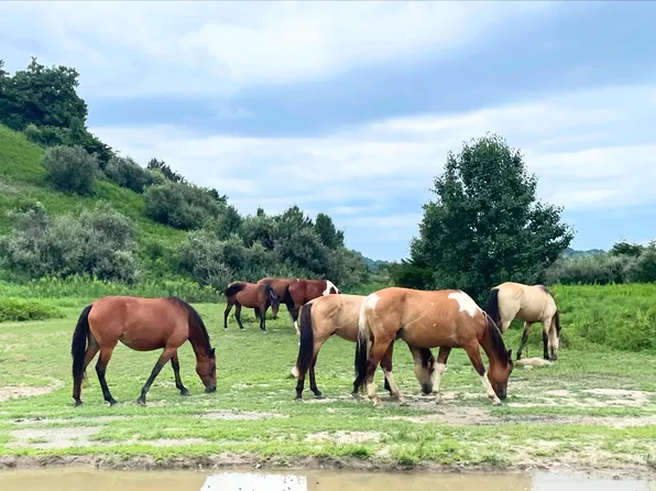 0 Sugar Camp Br, Robinson Creek, KY 41560