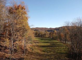 LOT Island Rd #A, Junior, WV 26275