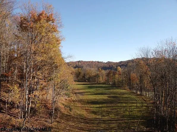LOT Island Rd #A, Junior, WV 26275