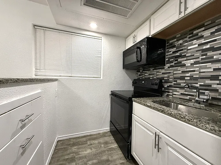 1607 N Carroll Ave #203 — Photo 5