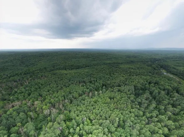 Vacant Land Bruce Xing, Bruce Crossing, MI 49912