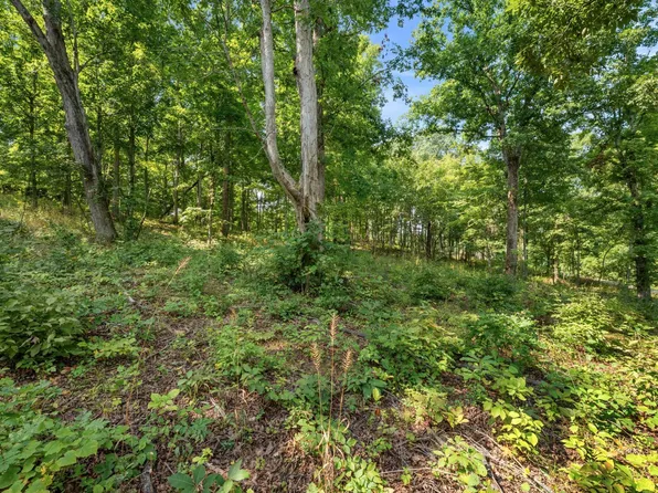 Oak Ridge Dr, Gallipolis, OH 45631