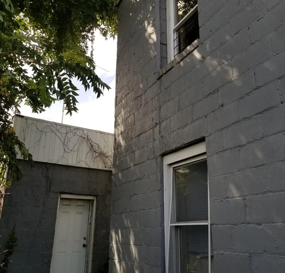3 bed, 2000 sqft, $2,400 — Photo 3
