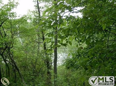 Shiawassee Lake
