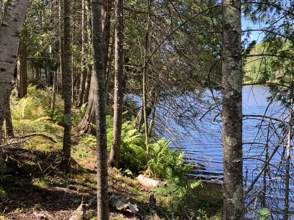 On Cloverland Drive Wide #150, Eagle River, WI 54521