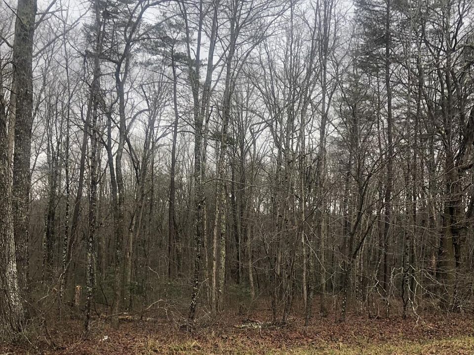 2nd image of Taylor Rd