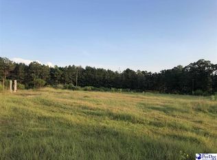 961 John Clark Rd, Hartsville, SC 29550