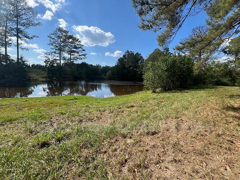 3 bed, 1.0 bath, 1456 sqft, $1,325 — Photo 3