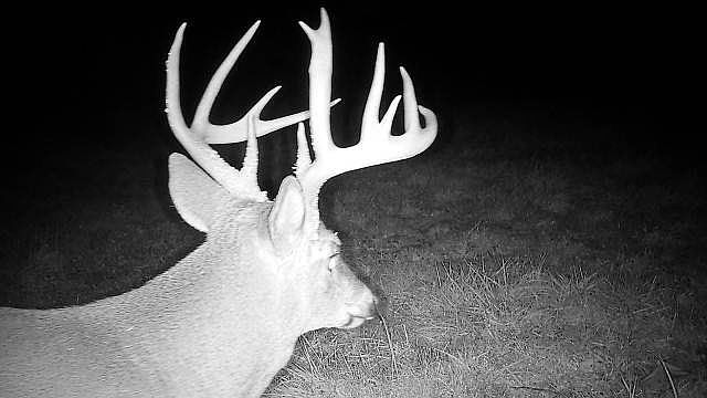 1st image of 0 Buck Ridge Rd