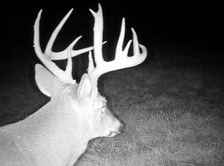 0 Buck Ridge Rd, Bidwell, OH 45614