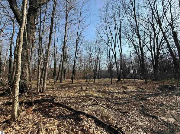 11221 Behlke Rd SE, Fife Lake, MI 49633