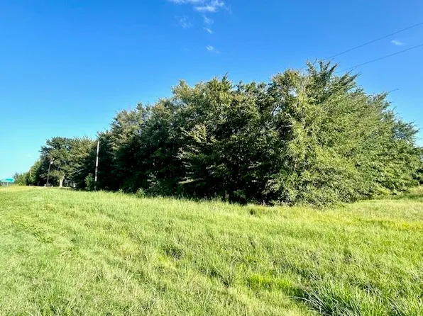 2 Acres Farm Rd #515, Yantis, TX 75497