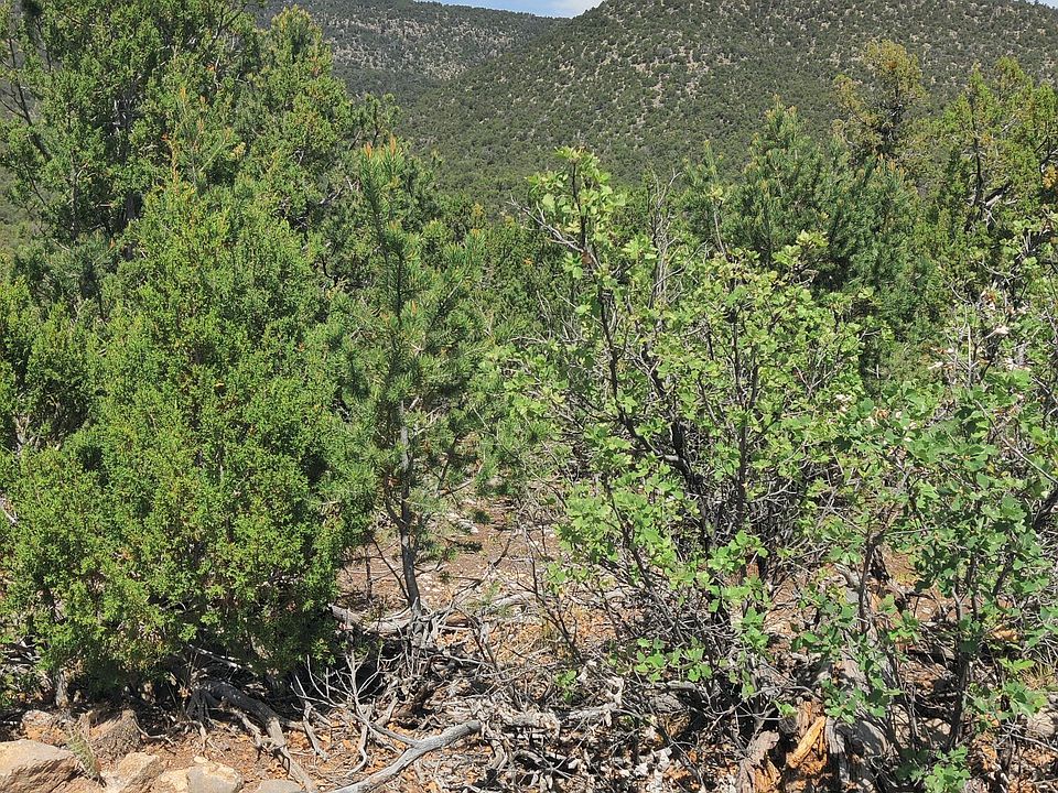 1st image of Skyline Pl Lot 14