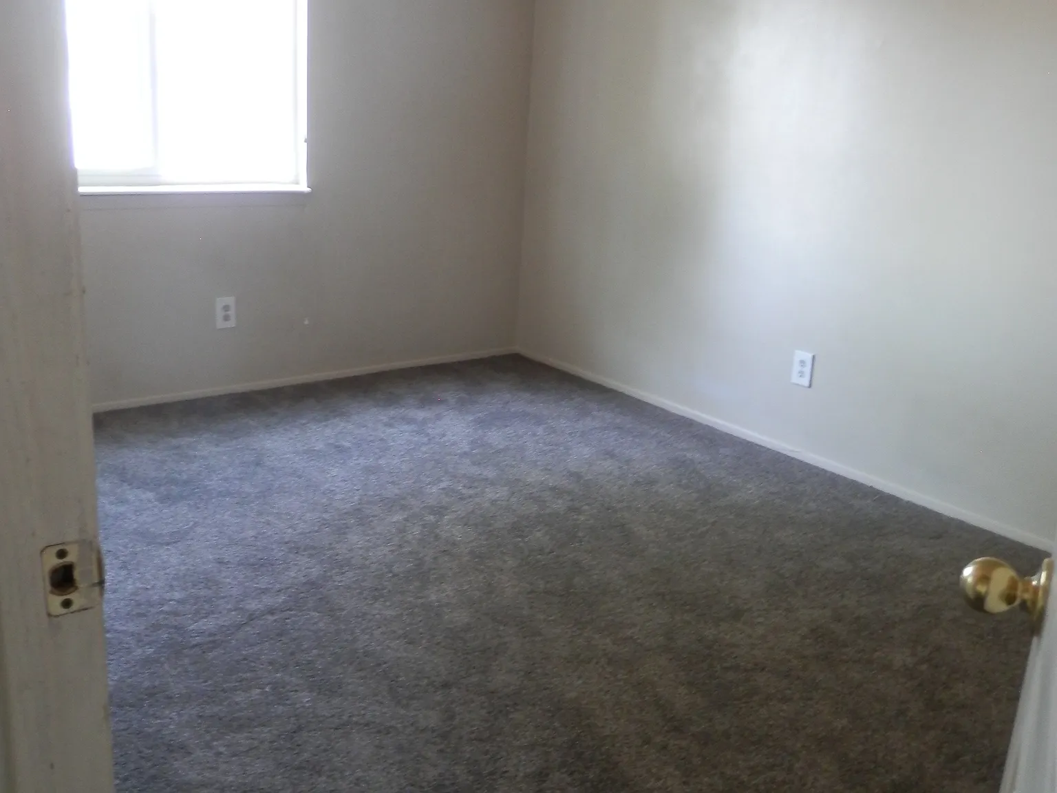 2 bed, 800 sqft, $1,200 — Photo 3