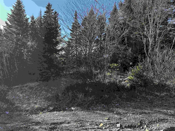 Old Monastery Rd N, Guysborough, NS B0H 1G0