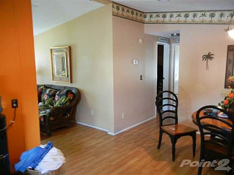 DINING ROOM / LIVING ROOM