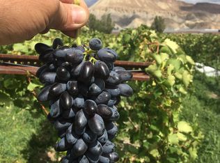 3472 F Rd, Clifton, CO 81520