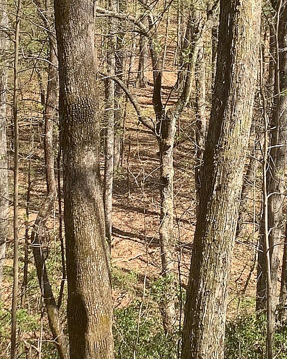 1st image of 11462 Greenville Hwy