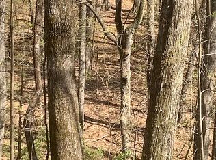 11462 Greenville Hwy, Cedar Mountain, NC 28718