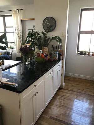 Rented by Tompkins Square Realty | media 16