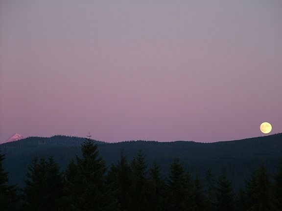 South View Moon Rising
