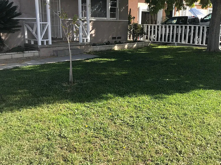 House front