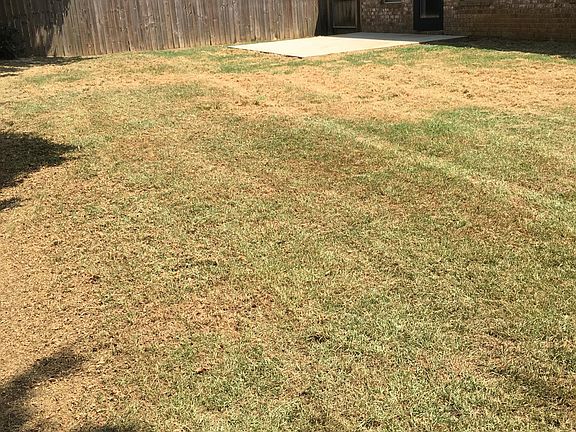 Rear yard, (needs watering)