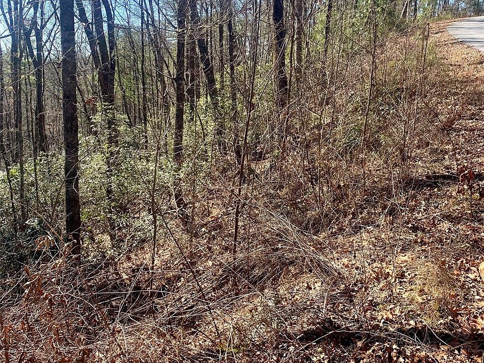 2nd image of Lots 62&63 Oak Laurel Rd #62-63