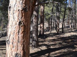 1332 N Crystal Rd, Lake George, CO 80827