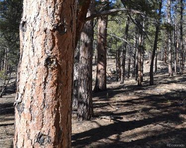 1332 N Crystal Road, Lake George, CO, 80827