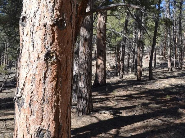 1332 N Crystal Road, Lake George, CO 80827