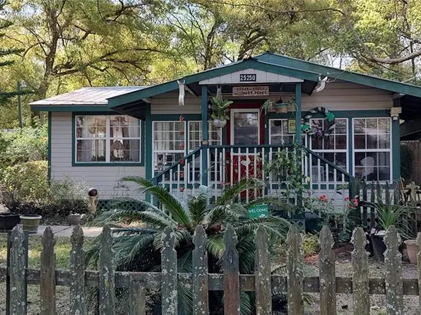 25250 NE 132nd Ln, Salt Springs, FL 32134