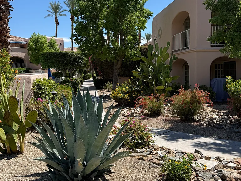 500 E Amado Rd #110 — Photo 14