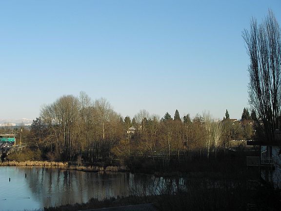 view from deck