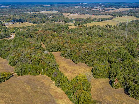 2nd image of LOT-25C Reynolds Run