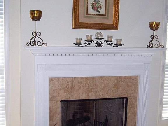 Wood Burning Fireplace