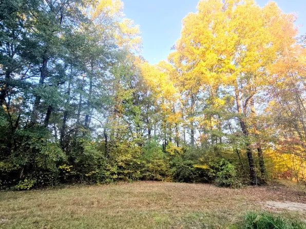 Edinborough Dr, Columbus, MS 39705